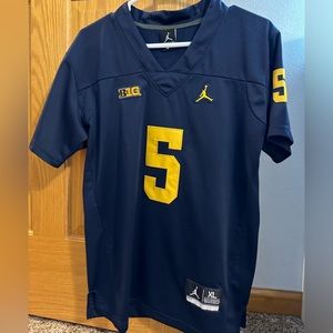 Michigan Jersey